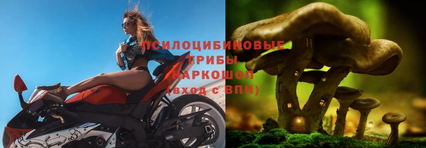 спиды Тында