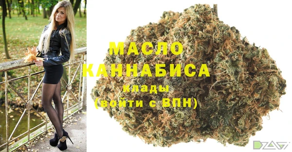 спиды Тында