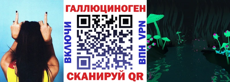 Купить закладки  Нестеров  Псилоцибиновые грибы GOLDEN TEACHER 